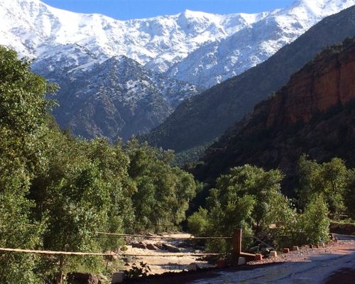 Visites Exploratoires de la Région d'Ourika